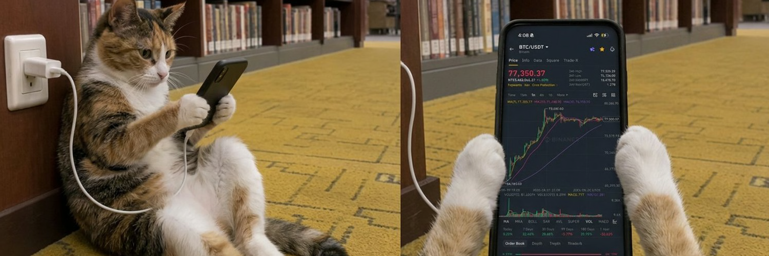 Catonfone plugged in on the carpet, then the chart on the phone between two paws